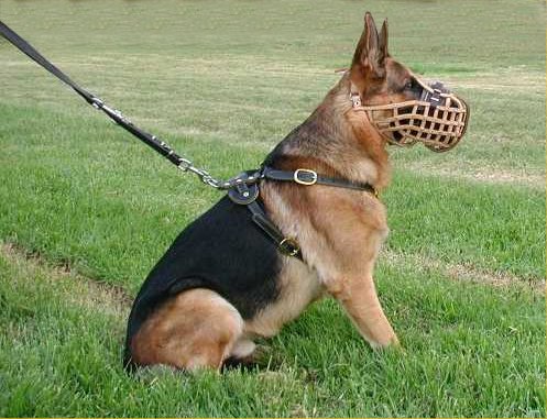 Leather basket muzzle